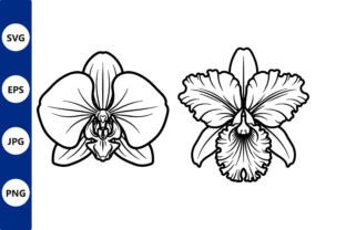 Line Art Two Orchid Flower Line Drawings Graphic by Cute Things ...