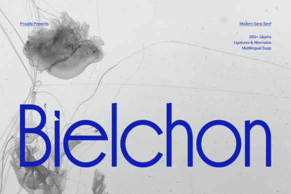 Bielchon Sans Serif Fonts Font Door Gracetypestudio