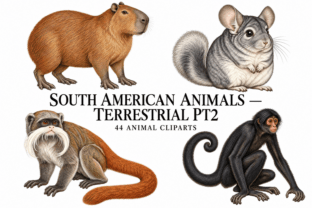 SOUTH AMERICAN ANIMALS — TERRESTRIAL PT2 Gráfico por hamelinckmichael ...