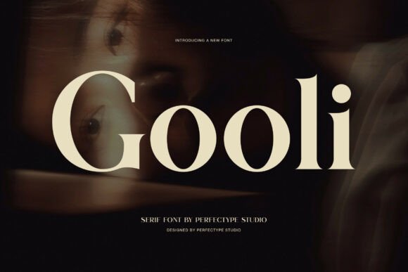 Gooli Serif Font By Perfectype