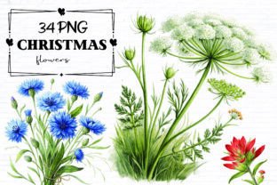 Botanical Flower Graphics Botanical Flowers Clipart Bundle Graphic by Clipart Mart · Creative Fabrica