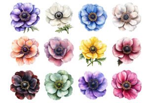 Watercolor Anemone Clipart Graphic by BloomNestGarden · Creative Fabrica