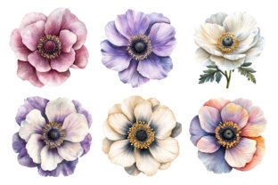 Watercolor Anemone Clipart Graphic by BloomNestGarden · Creative Fabrica