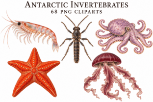 Britle Insect ANTARCTIC - INVERTEBRATES Graphic by hamelinckmichael · Creative Fabrica