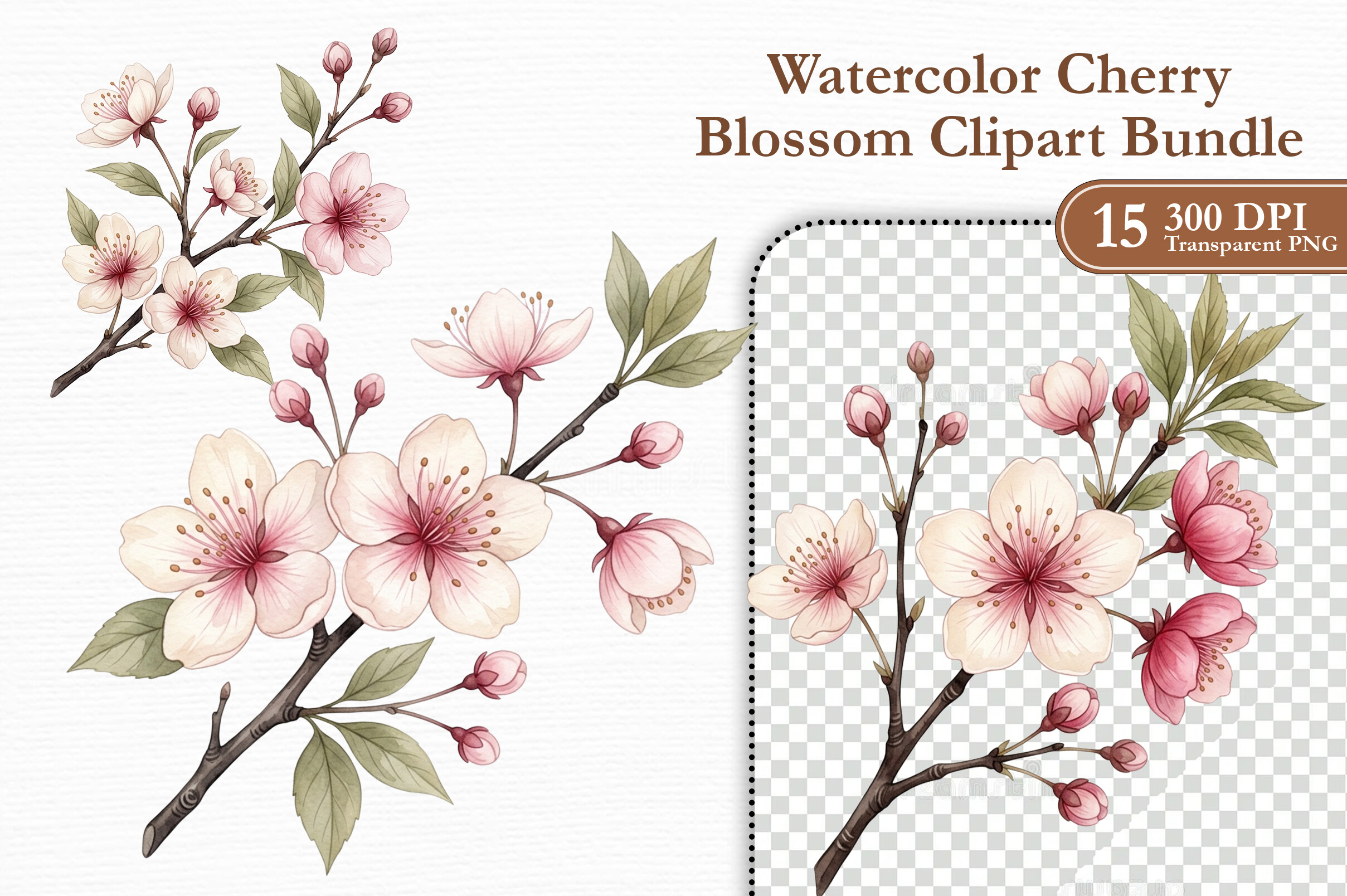 Zone Template Cursive Watercolor Cherry Blossom Clipart Bundle Graphic by KIDS ZONE ...